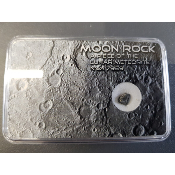 Autentico meteorite lunare NWA 7959 L
