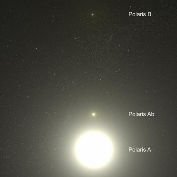 Celestial Buddies Polaris Ab e Polaris B