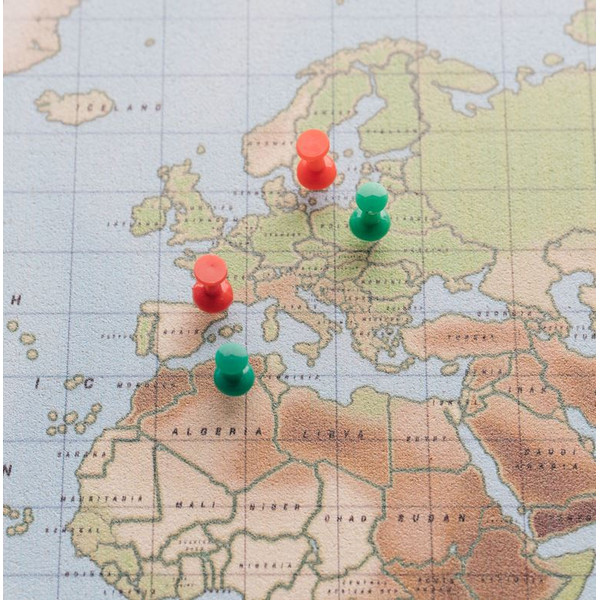 Miss Wood Mappa di Woody Acquerello Fisico L