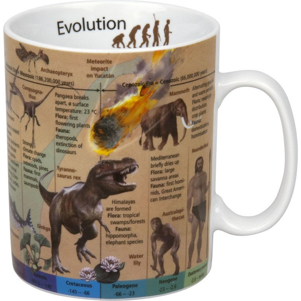 Könitz Tazza Mugs of Knowledge Evolution (English)