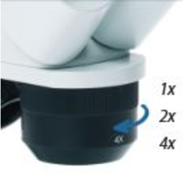 Euromex Microscopio stereo ED.1802-S, EduBlue 1x/2x/4x