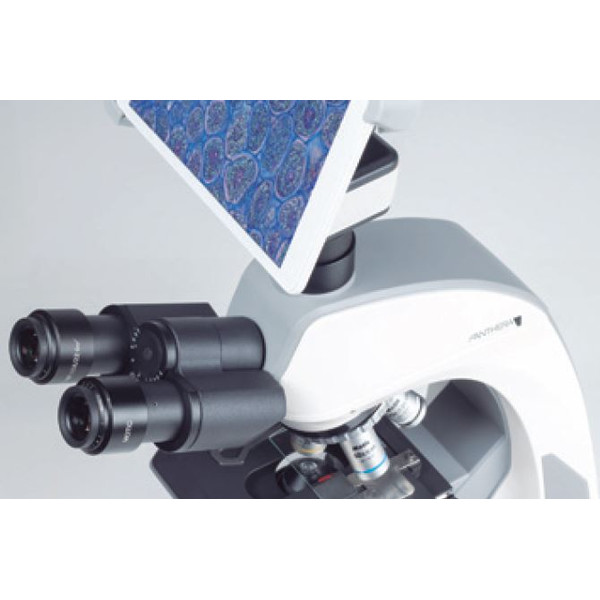 Motic Fotocamera Camma BTX8, 5.0MP, 8
