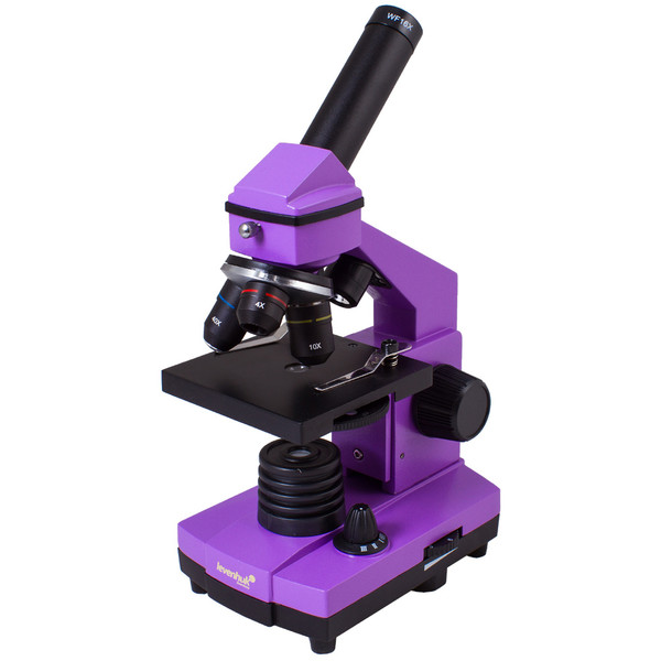 Levenhuk Microscopio Rainbow 2L Plus Amethyst