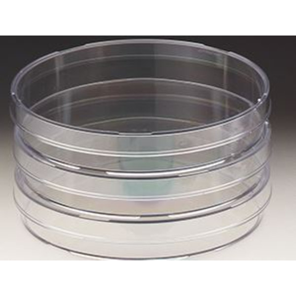 Windaus Capsule di Petri 94x16mm, polistirolo 20 pz