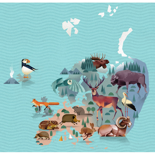 Marmota Maps Mappa del Mondo World of Animals