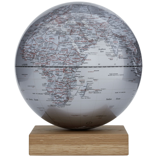 emform Globo Platon Oak Silver 25cm