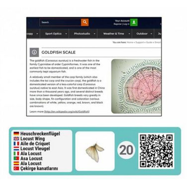 Bresser Junior Set di accessori per microscopi smart con codici QR