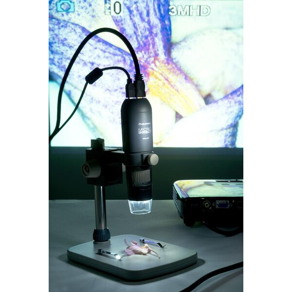 Celestron Microscopio a mane MicroDirect 1080p HDMI