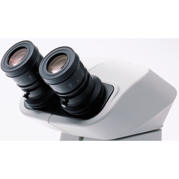 Evident Olympus Testa stereo Tubo binoculare SZX-BI30