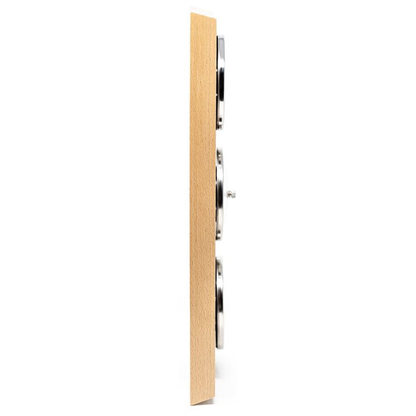 Fischer Stazione meteo in vero legno Faggio Natura