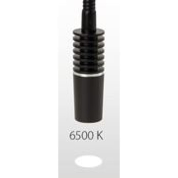 Euromex Stazione di illuminazione LE.5260, Conduttore di luce bianco, 6500K per NZ.9018, LE5207, LE.5212