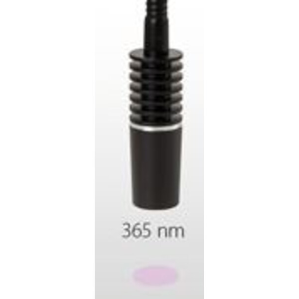 Euromex Stazione di illuminazione LE.5212, 2 lampade alogene bianche, 395 nm, anulare, luce passante