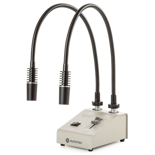Euromex Sorgente luminosa LE.5207, con 2 conduttori di luce a collo di segno 2x3W, 6500K