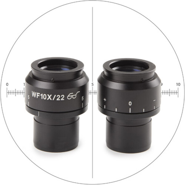 Euromex Oculare di misura Oculari NZ.6010-CM, 10x/22, 1 pz, (Nexius Zoom)