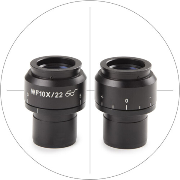 Euromex Oculare micrometrico NZ.6210-C, 10x/22 mm SWF, reticolo (Nexius EVO)