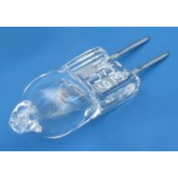 ZEISS Lampada 6V 30W Halogen (Primo)