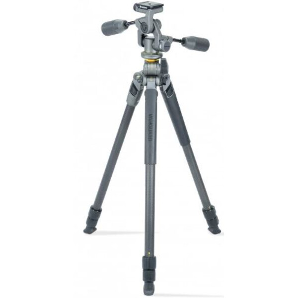 Vanguard Treppiede Carbonio Alta Pro 2+ 263CP