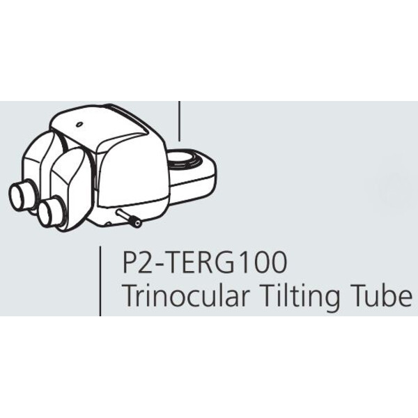 Nikon Testa stereo P2-TERG 100 trino ergo tube (100/0 : 0/100), 0-30°