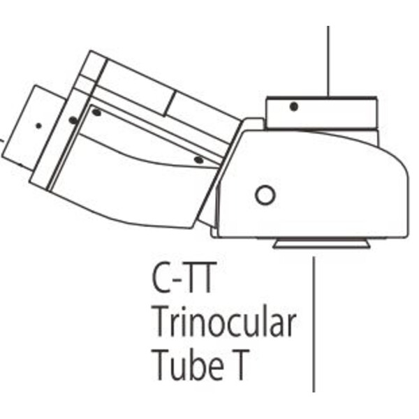 Nikon Tubo trinoculare C-TT T