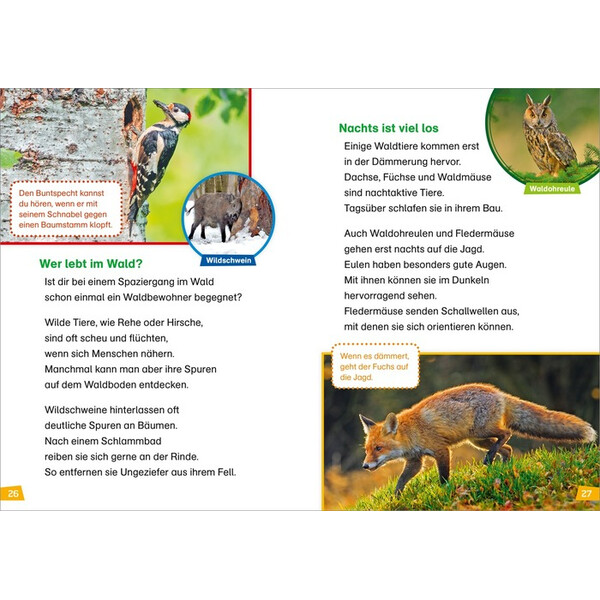 Tessloff-Verlag WAS IST WAS Prima lettura: Alla scoperta della natura