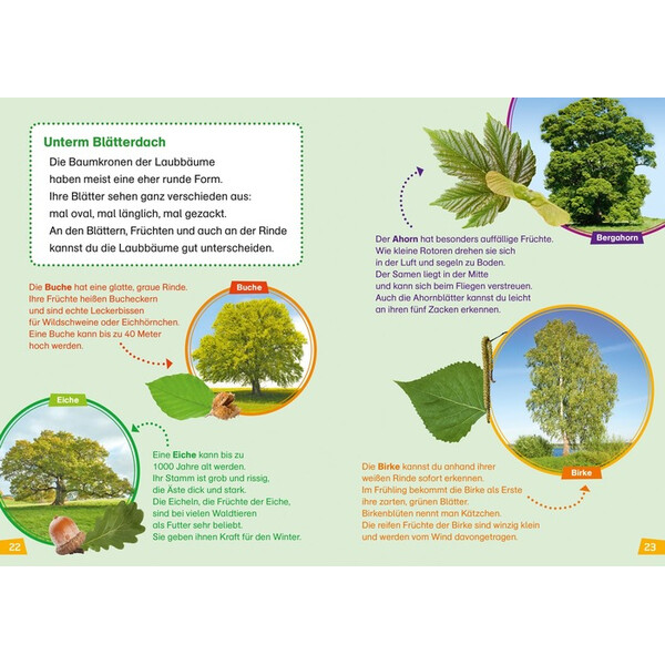 Tessloff-Verlag WAS IST WAS Prima lettura: Foresta