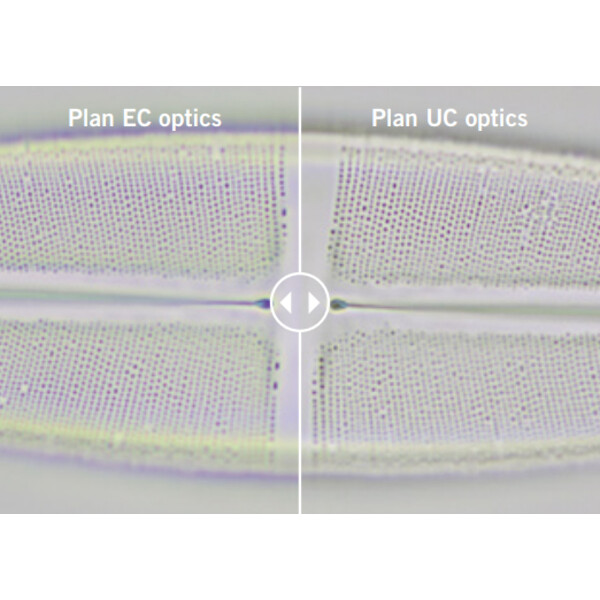 Motic Microscopio Panthera E2, Trinokular, HF, Infinity, plan achro., 40x-1000x, fixed Koehl.LED