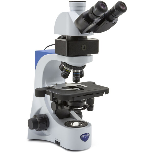 Optika Microscopio B-383LD, trino, FL-LED, filtro blu, N-PLAN, IOS, 40x-1000x