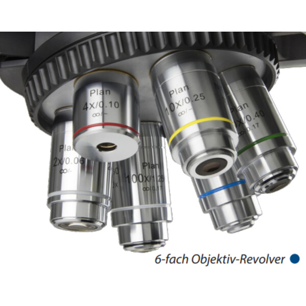 Euromex Microscopio Delphi-X, DX.2158-APLi, trino, 40x - 1000x, Planacromatico, con testa ergonomica e illuminazione alogena da 100 W