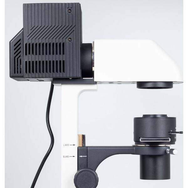 Motic Microscopio invertito AE31E trino, infinity, CCIS Plan 4x LWD, Ph10x/20x40x, 100W Hal