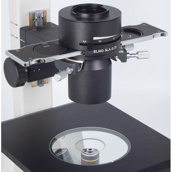 Motic Microscopio invertito AE31E trino, infinity, CCIS Plan 4x LWD, Ph10x/20x40x, 100W Hal