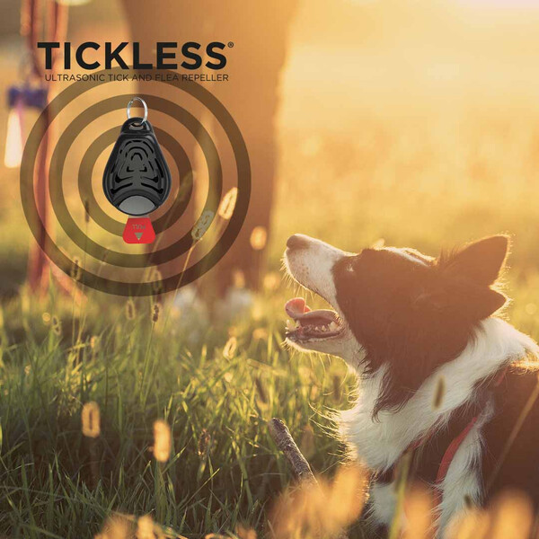 Tickless Pet