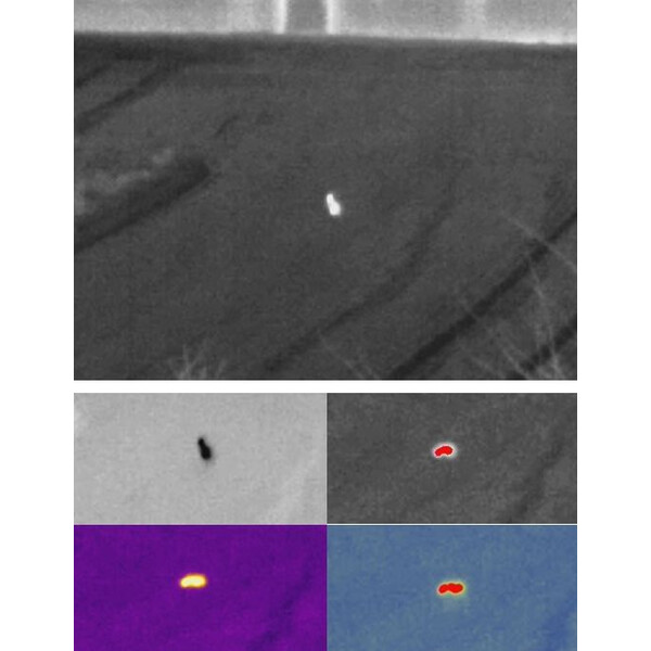 Guide Camera termica Dispositivo di imaging termico Track IR19 Pro
