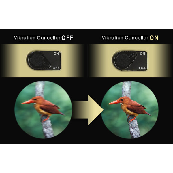 Vixen Binocolo Stabilizzato H12x30 Atera