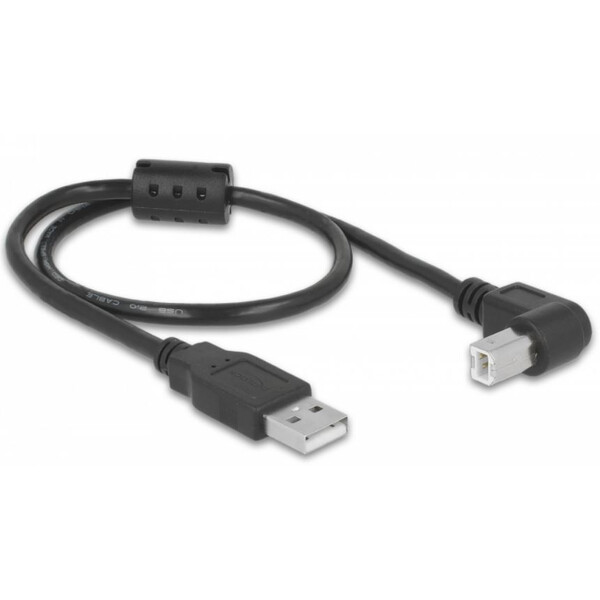 PegasusAstro Cavo Set cavi USB 2x USB2.0 Tipo B 50 cm