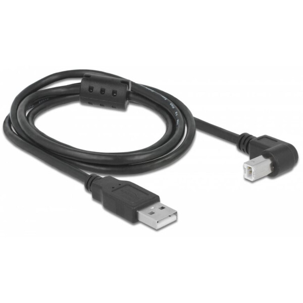 PegasusAstro Cavo Set cavi USB 2x USB2.0 Tipo B 1m