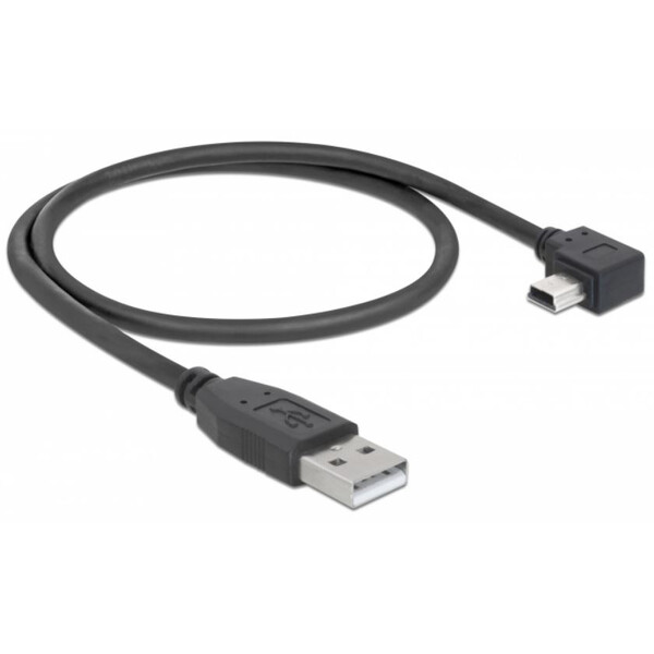 PegasusAstro Cavo Set cavi USB 2x USB2.0 Mini 50cm