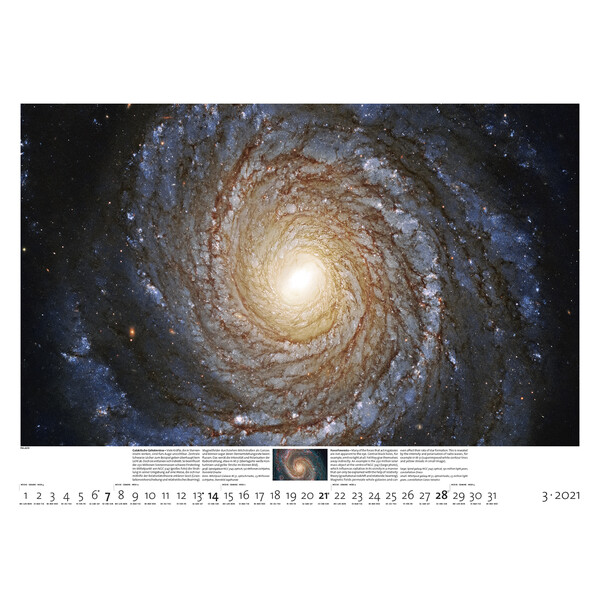 Palazzi Verlag Calendario Sternzeit 2021