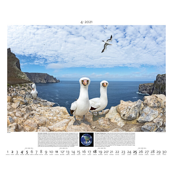 Palazzi Verlag Calendario Planet Earth 2021