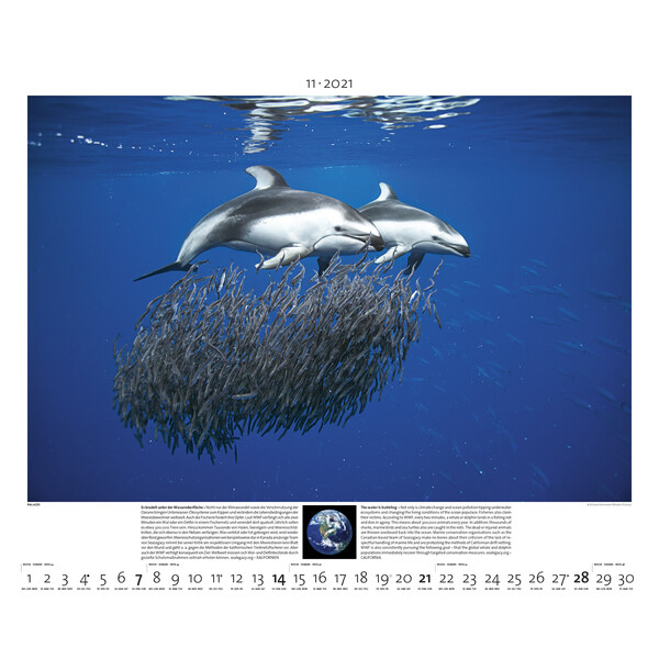 Palazzi Verlag Calendario Planet Earth 2021