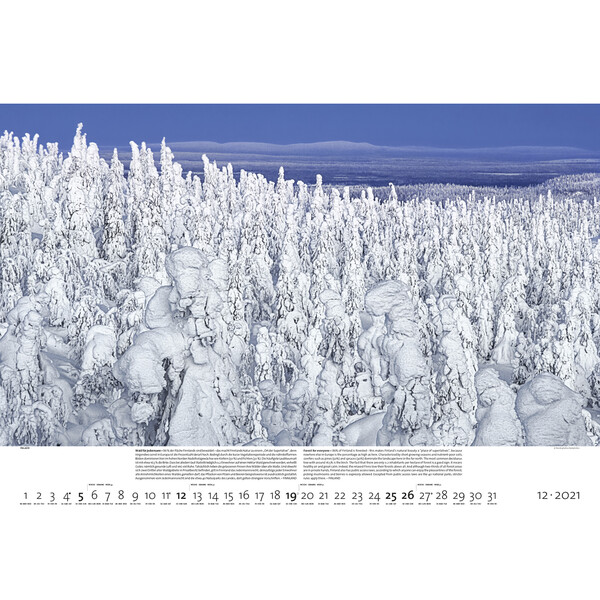 Palazzi Verlag Calendario Foreste della terra 2021
