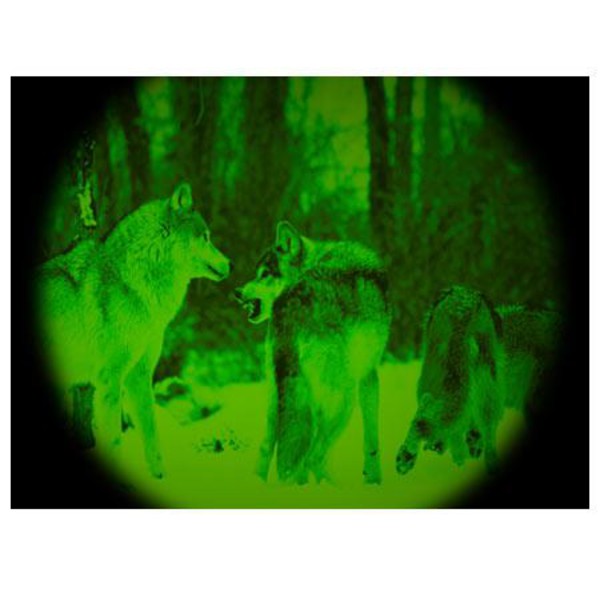 ATN Visore notturno Night Storm-2IA 3,5x50, nero