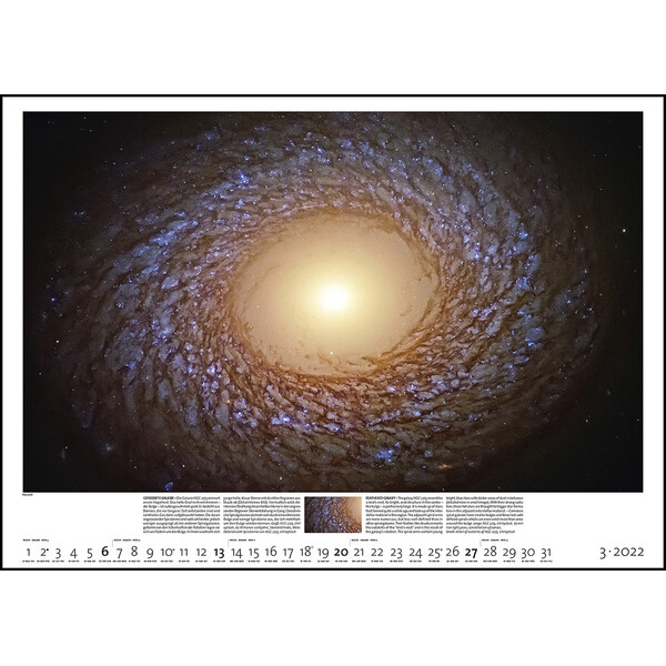 Palazzi Verlag Calendario Sternzeit 2022