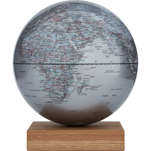 emform Globo Platon Oak Silver 30cm