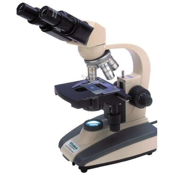 Windaus Microscopio HPM 220 LED, 1000-fach