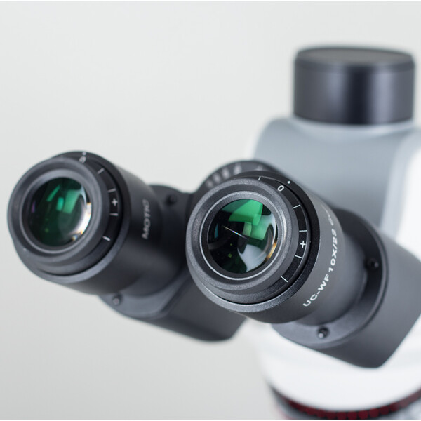 Motic Microscopio Panthera C2, Trinoculare (senza 100X), infinity, plan, achro, 40x-400x, Halogen/LED