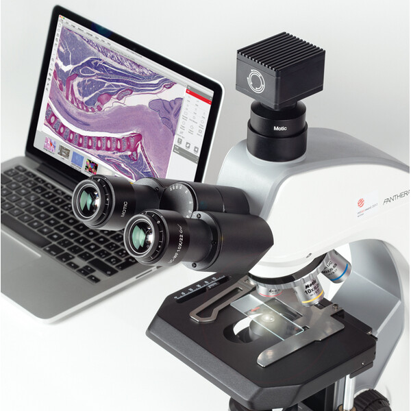 Motic Microscopio Panthera C2 Trinokular, infinity, plan, achro, 40x-1000x, 10x/22mm, Halogen/LED