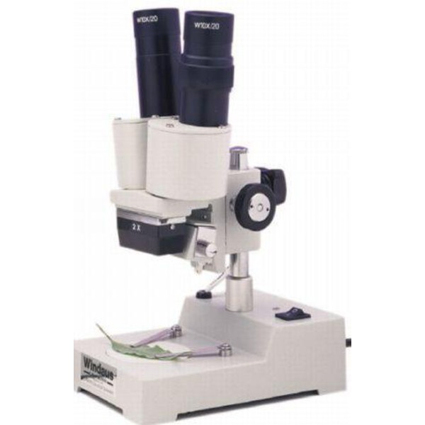 Windaus Microscopio stereo HPS 11, binoculare