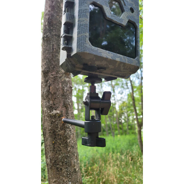 ICU Vite per albero con testa sferica
