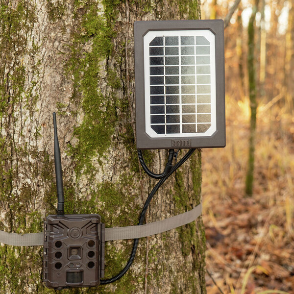 Bushnell Pannello solare Tan Universal, scatola