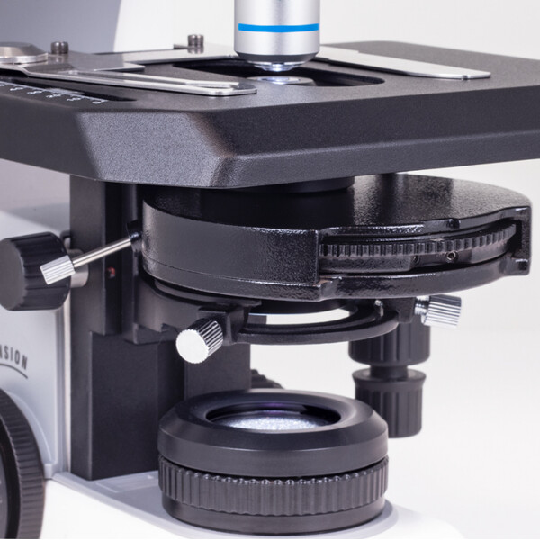 Motic Microscopio Panthera C2, pacchetto Phase, trino, infinity, plan, achro, 40x-400x, Halogen/LED